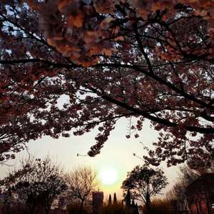 王艳又紧又大又湿又爽小视频
